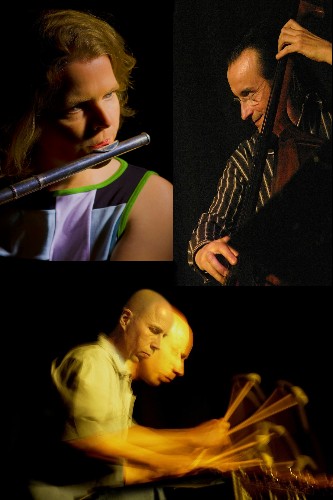 FluViBa  Acoutic Trio - Stephanie Wagner Flute - Christoph Aupperle Vibes - Norbert Dmling Doemling  Upright Bass  FluViBar